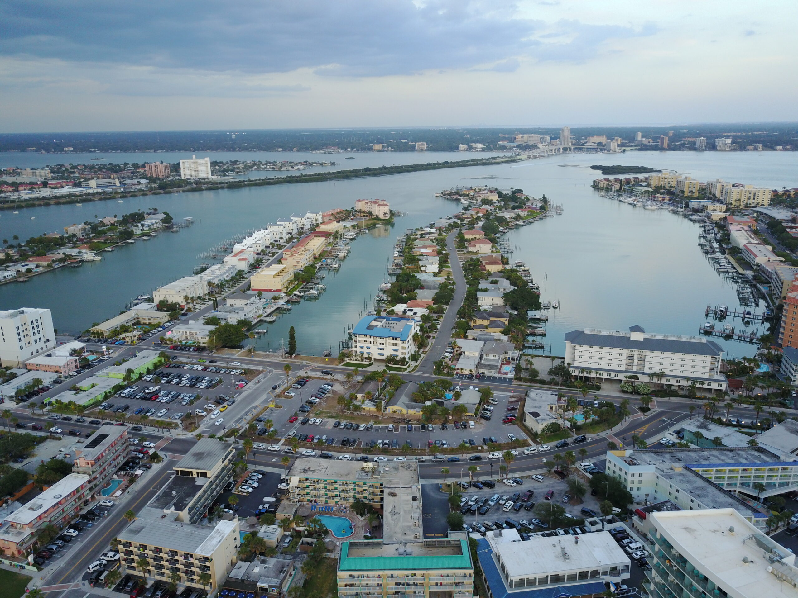 Palm trees on Clearwater Beach